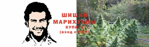 гашик Баксан