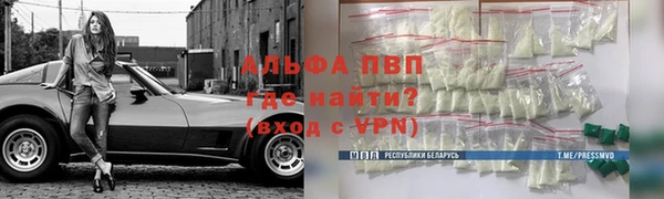 гашик Баксан