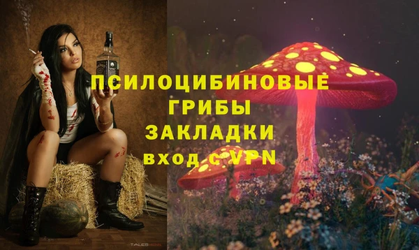 гашик Баксан