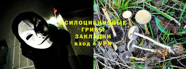 гашик Баксан