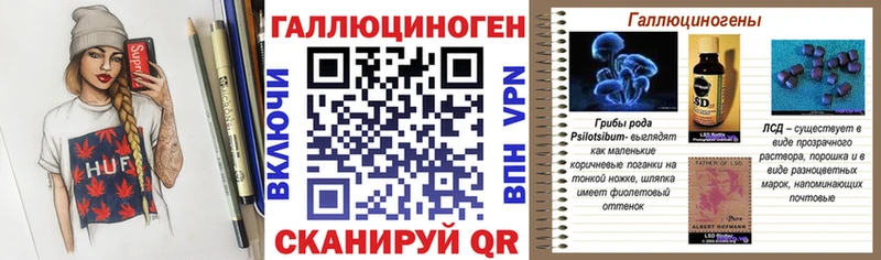 Галлюциногенные грибы Psilocybine cubensis  Кувандык 